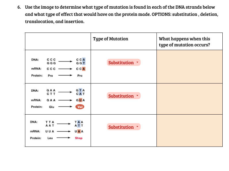 6. Use the image to determine what type of mutation is found in each of the DNA strands below
and what type of effect that would have on the protein made. OPTIONS: substitution, deletion,
translocation, and insertion.
DNA:
CCC
GGG
mRNA: CCC
Protein: Pro
DNA:
GAA
CTT
mRNA: GAA
Protein: Glu
DNA:
TTA
AAT
mRNA: UUA
Protein: Leu
CCA
GGT
CCA
Pro
GTA
CAT
GUA
Val
TAA
ATT
UAA
Stop
Type of Mutation
Substitution
Substitution
Substitution
What happens when this
type of mutation occurs?