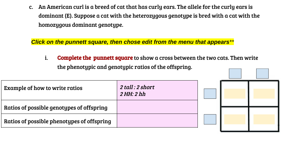 C.
An American curl is a breed of cat that has curly ears. The allele for the curly ears is
dominant (E). Suppose a cat with the heterozygous genotype is bred with a cat with the
homozygous dominant genotype.
Click on the punnett square, then chose edit from the menu that appears**
i.
Complete the punnett square to show a cross between the two cats. Then write
the phenotypic and genotypic ratios of the offspring.
Example of how to write ratios
Ratios of possible genotypes of offspring
Ratios of possible phenotypes of offspring
2 tall: 2 short
2 HH: 2 hh