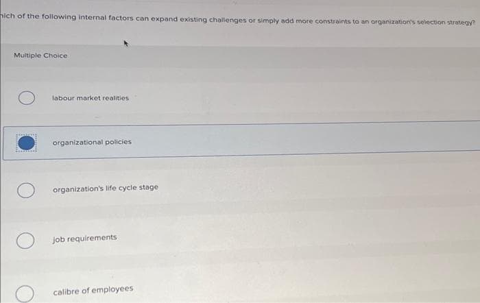 ich of the following internal factors can expand existing challenges or simply add more constraints to an organization's selection strategy?
Multiple Choice
labour market realities
organizational policies
organization's life cycle stage
job requirements
calibre of employees