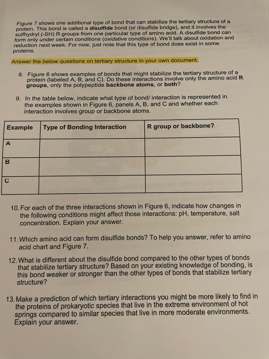 Figure 7 shows one additional type of bond that can stabilize the tertiary structure of a
protein. This bond is called a disulfide bond (or disulfide bridge), and it involves the
sulfhydryl (-SH) R groups from one particular type of amino acid. A disulfide bond can
form only under certain conditions (oxidative conditions). We'll talk about oxidation and
reduction next week. For now, just note that this type of bond does exist in some
proteins.
Answer the below questions on tertiary structure in your own document.
8. Figure 6 shows examples of bonds that might stabilize the tertiary structure of a
protein (labeled A, B, and C). Do these interactions involve only the amino acid R
groups, only the polypeptide backbone atoms, or both?
9. In the table below, indicate what type of bond/ interaction is represented in
the examples shown in Figure 6, panels A, B, and C and whether each
interaction involves group or backbone atoms.
Example
Type of Bonding Interaction
R group or backbone?
B
C
10. For each of the three interactions shown in Figure 6, indicate how changes in
the following conditions might affect those interactions: pH, temperature, salt
concentration. Explain your answer.
11. Which amino acid can form disulfide bonds? To help you answer, refer to amino
acid chart and Figure 7.
12. What is different about the disulfide bond compared to the other types of bonds
that stabilize tertiary structure? Based on your existing knowledge of bonding, is
this bond weaker or stronger than the other types of bonds that stabilize tertiary
structure?
13. Make a prediction of which tertiary interactions you might be more likely to find in
the proteins of prokaryotic species that live in the extreme environment of hot
springs compared to similar species that live in more moderate environments.
Explain your answer.
