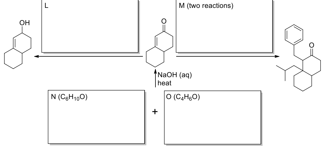 L
M (two reactions)
ОН
N2OH (aq)
heat
N (C6H100)
O (C4H60)
+
