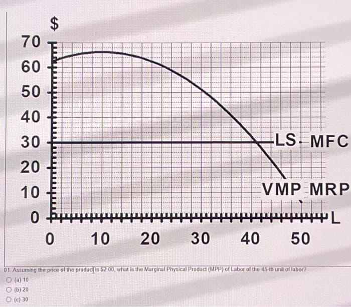 70
60
50
40
30
20
10
0
$
0
10
20
30 40
LS MFC
VMP MRP
444L
50
01. Assuming the price of the product is $2.00, what is the Marginal Physical Product (MPP) of Labor of the 45-th unit of labor?
(a) 10
(b) 20
O (c) 30