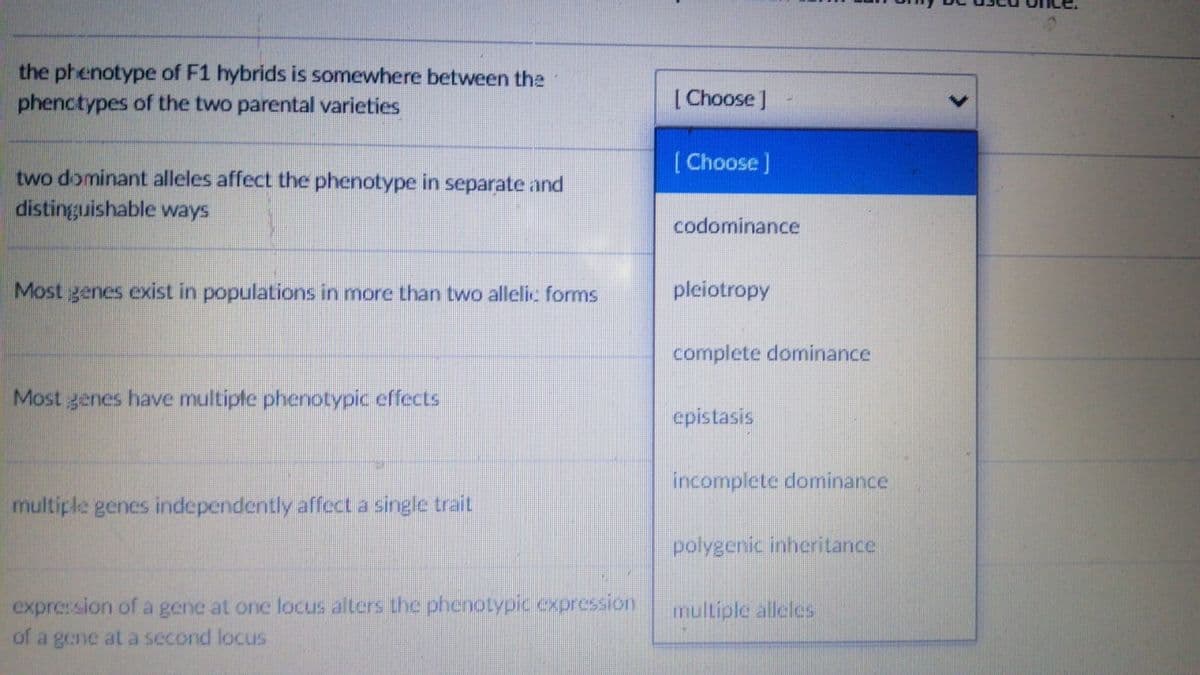 the phenotype of F1 hybrids is somewhere between the
phenctypes of the two parental varieties
[ Choose ]
[Choose]
two dominant alleles affect the phenotype in separate and
distingguishable ways
codominance
Most genes exist in populations in more than two allelic forms
pleiotropy
complete dominance
Most genes have multipte phenotypic effects
epistasis
incomplete dominance
multiple genes independently affect a single trait
polygenic inheritance
expre: sion of a gene at one locus alters the phenotypic exprcssion
of a gene at a second locus
multiple alleles
