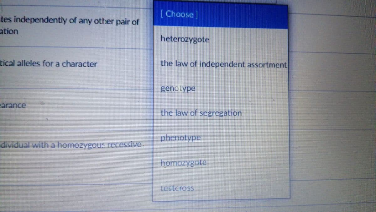 (Choose]
ates independently of any other pair of
ation
heterozygote
tical alleles for a character
the law of independent assortment
genotype
arance
the law of segregation
phenotype
dividual with a homozygous recessive
homozyeote
testcross
