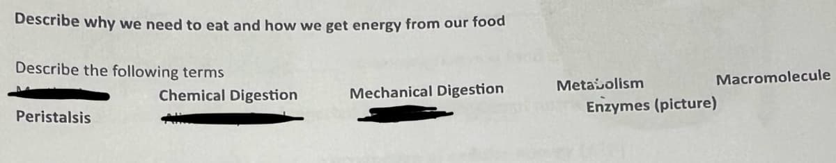 Describe why we need to eat and how we get energy from our food
Describe the following terms
Chemical Digestion
Mechanical Digestion
Metabolism
Macromolecule
Peristalsis
Enzymes (picture)