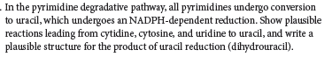 In the pyrimidine degradative pathway, all pyrimidines undergo conversion
to uracil, which undergoes an NADPH-dependent reduction. Show plausible
reactions leading from cytidine, cytosine, and uridine to uracil, and write a
plausible structure for the product of uracil reduction (dihydrouracil).
