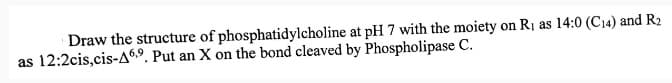 Draw the structure of phosphatidylcholine at pH 7 with the moiety on R₁ as 14:0 (C14) and R2
as 12:2cis, cis-A69. Put an X on the bond cleaved by Phospholipase C.