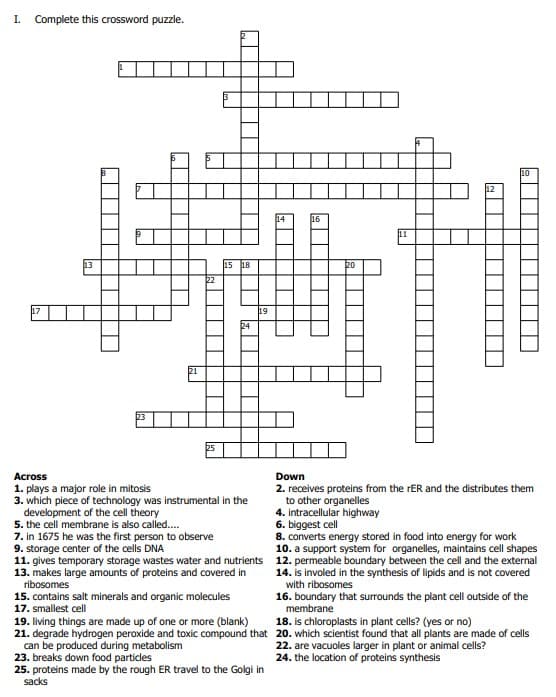 I. Complete this crossword puzzle.
13
22
15 18
24
Across
1. plays a major role in mitosis
3. which piece of technology was instrumental in the
development of the cell theory
5. the cell membrane is also called....
19
7. in 1675 he was the first person to observe
9. storage center of the cells DNA
11. gives temporary storage wastes water and nutrients
13. makes large amounts of proteins and covered in
ribosomes
15. contains salt minerals and organic molecules
17. smallest cell
19. living things are made up of one or more (blank)
21. degrade hydrogen peroxide and toxic compound that
can be produced during metabolism
23. breaks down food particles
25. proteins made by the rough ER travel to the Golgi in
sacks
200
10
Down
2. receives proteins from the rER and the distributes them
to other organelles
4. intracellular highway
6. biggest cell
8. converts energy stored in food into energy for work
10. a support system for organelles, maintains cell shapes
12. permeable boundary between the cell and the external
14. is involed in the synthesis of lipids and is not covered
with ribosomes
16. boundary that surrounds the plant cell outside of the
membrane
18. is chloroplasts in plant cells? (yes or no)
20. which scientist found that all plants are made of cells
22. are vacuoles larger in plant or animal cells?
24. the location of proteins synthesis