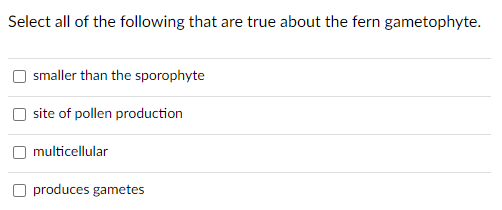 Select all of the following that are true about the fern gametophyte.
smaller than the sporophyte
site of pollen production
multicellular
O produces gametes
