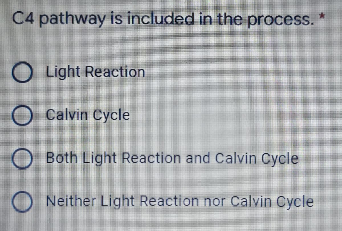 C4 pathway is included in the process.
O Light Reaction
O Calvin Cycle
O Both Light Reaction and Calvin Cycle
O Neither Light Reaction nor Calvin Cycle
