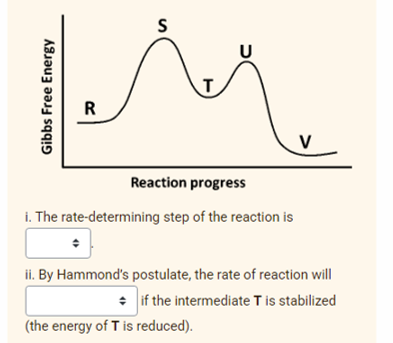 U
R
V
Reaction progress
i. The rate-determining step of the reaction is
ii. By Hammond's postulate, the rate of reaction will
• if the intermediate T is stabilized
(the energy of T is reduced).
Gibbs Free Energy
