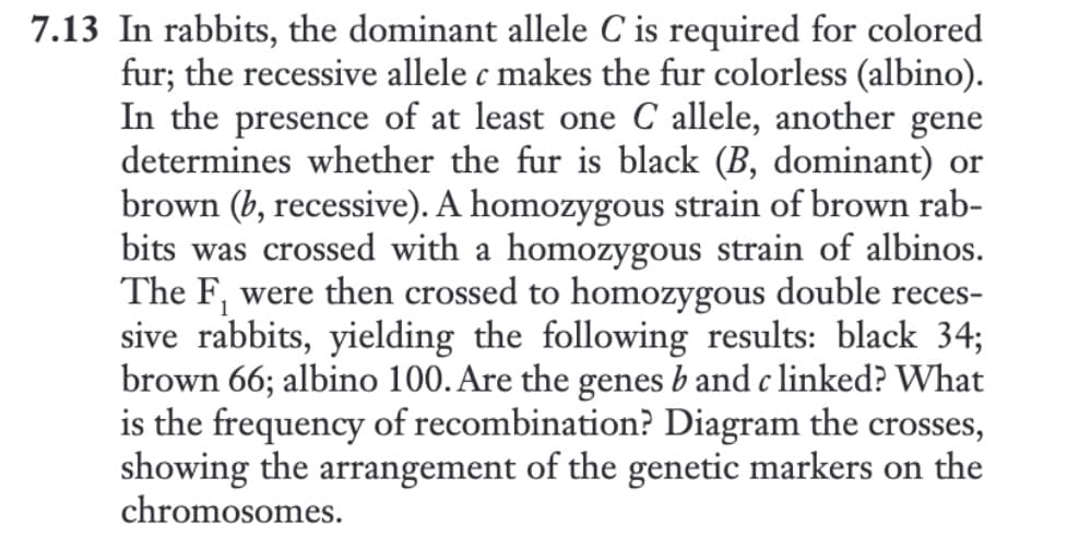 7.13 In rabbits, the dominant allele C is required for colored
fur; the recessive allele c makes the fur colorless (albino).
In the presence of at least one C allele, another gene
determines whether the fur is black (B, dominant) or
brown (b, recessive). A homozygous strain of brown rab-
bits was crossed with a homozygous strain of albinos.
The F, were then crossed to homozygous double reces-
sive rabbits, yielding the following results: black 34;
brown 66; albino 100. Are the genes b and clinked? What
is the frequency of recombination? Diagram the crosses,
showing the arrangement of the genetic markers on the
chromosomes.
1