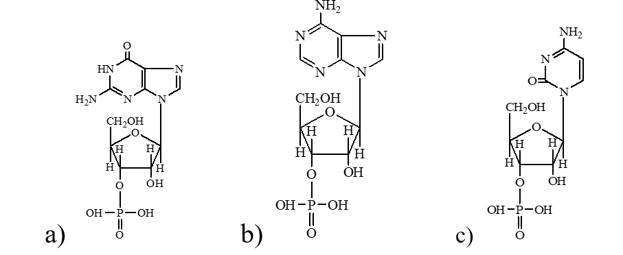 NH,
NH2
N
HN
H,N
N.
CH,OH
CH2OH
CH,OH
H
H
(H
H
H
H.
H
H
H,
H.
OH
ОН
ОН
ОН — Р—ОН
ОН -Р-ОН
ОН -Р-ОН
а)
b)
c)
