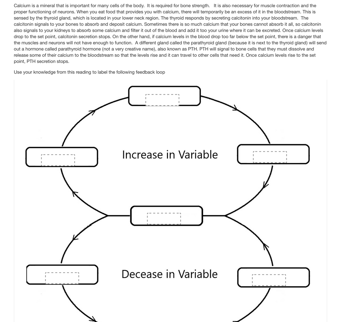Calcium is a mineral that is important for many cells of the body. It is required for bone strength. It is also necessary for muscle contraction and the
proper functioning of neurons. When you eat food that provides you with calcium, there will temporarily be an excess of it in the bloodstream. This is
sensed by the thyroid gland, which is located in your lower neck region. The thyroid responds by secreting calcitonin into your bloodstream. The
calcitonin signals to your bones to absorb and deposit calcium. Sometimes there is so much calcium that your bones cannot absorb it all, so calcitonin
also signals to your kidneys to absorb some calcium and filter it out of the blood and add it too your urine where it can be excreted. Once calcium levels
drop to the set point, calcitonin secretion stops. On the other hand, if calcium levels in the blood drop too far below the set point, there is a danger that
the muscles and neurons will not have enough to function. A different gland called the parathyroid gland (because it is next to the thyroid gland) will send
out a hormone called parathyroid hormone (not a very creative name), also known as PTH. PTH will signal to bone cells that they must dissolve and
release some of their calcium to the bloodstream so that the levels rise and it can travel to other cells that need it. Once calcium levels rise to the set
point, PTH secretion stops.
Use your knowledge from this reading to label the following feedback loop
Increase in Variable
Decease in Variable