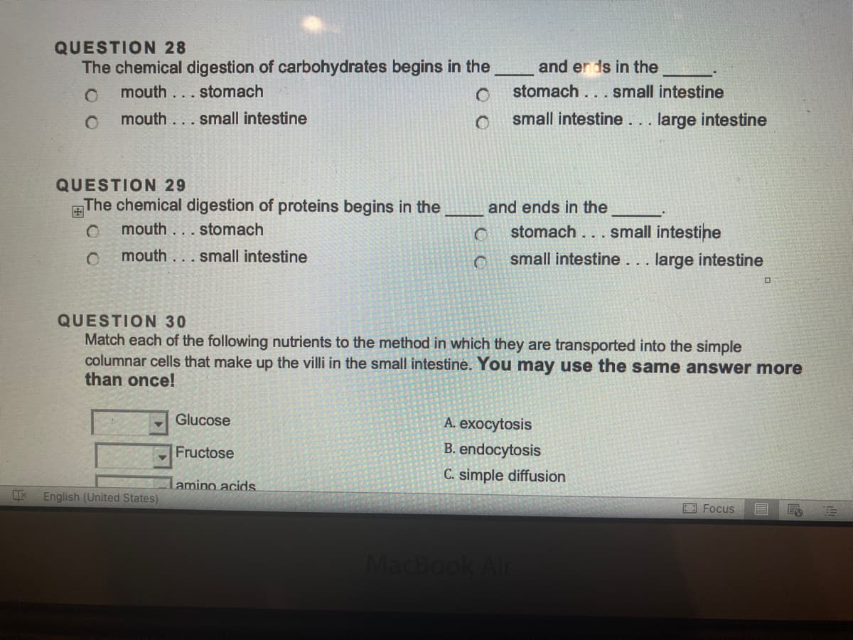 QUESTION 28
The chemical digestion of carbohydrates begins in the
mouth... stomach
O
O mouth... small intestine
QUESTION 29
The chemical digestion of proteins begins in the
O mouth... stomach
0
mouth... small intestine
English (United States)
Glucose
Fructose
and ends in the
stomach... small intestine
small intestine... large intestine
QUESTION 30
Match each of the following nutrients to the method in which they are transported into the simple
columnar cells that make up the villi in the small intestine. You may use the same answer more
than once!
Lamino acids
and ends in the
stomach... small intestine
small intestine... large intestine
A. exocytosis
B. endocytosis
C. simple diffusion
MacBook Air
Focus
E