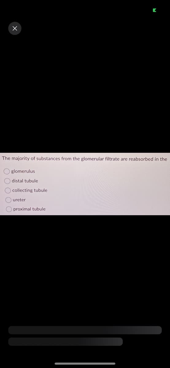 X
The majority of substances from the glomerular filtrate are reabsorbed in the
glomerulus
distal tubule
collecting tubule
ureter
O proximal tubule