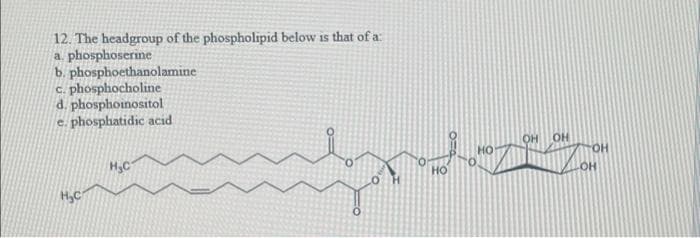 12. The headgroup of the phospholipid below is that of a
a. phosphoserine
b. phosphoethanolamine
c. phosphocholine
d. phosphoinositol
e. phosphatidic acid
H₂C
H₂C
0
HO
moz
OH OH
OH
OH