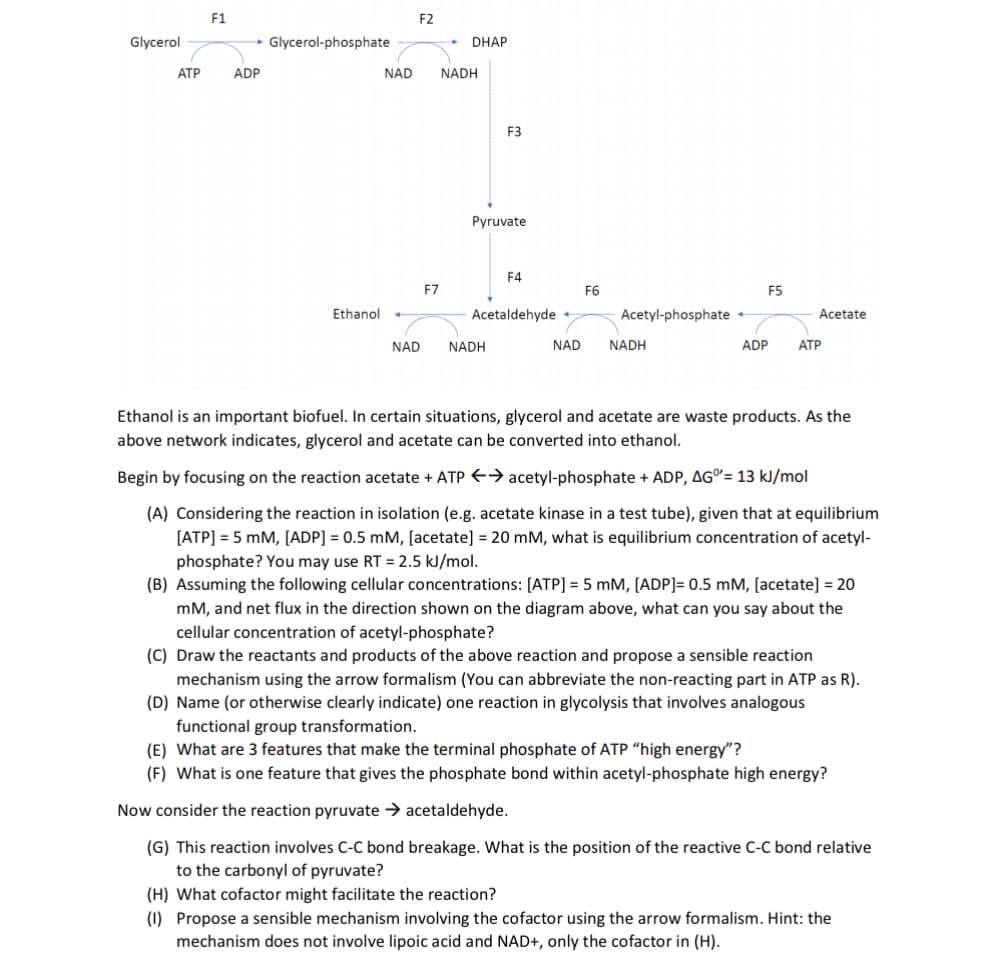 F1
F2
Glycerol
• Glycerol-phosphate
DHAP
АТР
ADP
NAD
NADH
F3
Pyruvate
F4
F7
F6
F5
Ethanol
Acetaldehyde
Acetyl-phosphate •
Acetate
NAD
NADH
NAD
NADH
ADP
АТР
Ethanol is an important biofuel. In certain situations, glycerol and acetate are waste products. As the
above network indicates, glycerol and acetate can be converted into ethanol.
Begin by focusing on the reaction acetate + ATP E→ acetyl-phosphate + ADP, AG"= 13 kJ/mol
(A) Considering the reaction in isolation (e.g. acetate kinase in a test tube), given that at equilibrium
[ATP] = 5 mM, [ADP] = 0.5 mM, [acetate] = 20 mM, what is equilibrium concentration of acetyl-
phosphate? You may use RT = 2.5 kJ/mol.
(B) Assuming the following cellular concentrations: [ATP] = 5 mM, [ADP]= 0.5 mM, [acetate] = 20
mM, and net flux in the direction shown on the diagram above, what can you say about the
cellular concentration of acetyl-phosphate?
(C) Draw the reactants and products of the above reaction and propose a sensible reaction
mechanism using the arrow formalism (You can abbreviate the non-reacting part in ATP as R).
(D) Name (or otherwise clearly indicate) one reaction in glycolysis that involves analogous
functional group transformation.
(E) What are 3 features that make the terminal phosphate of ATP “high energy"?
(F) What is one feature that gives the phosphate bond within acetyl-phosphate high energy?
Now consider the reaction pyruvate → acetaldehyde.
(G) This reaction involves C-C bond breakage. What is the position of the reactive C-C bond relative
to the carbonyl of pyruvate?
(H) What cofactor might facilitate the reaction?
(1) Propose a sensible mechanism involving the cofactor using the arrow formalism. Hint: the
mechanism does not involve lipoic acid and NAD+, only the cofactor in (H).
