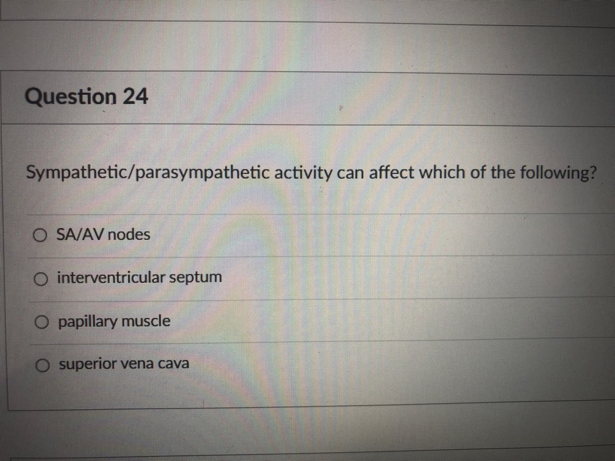 Question 24
Sympathetic/parasympathetic activity can affect which of the following?
O SA/AV nodes
O interventricular septum
papillary muscle
O superior vena cava
