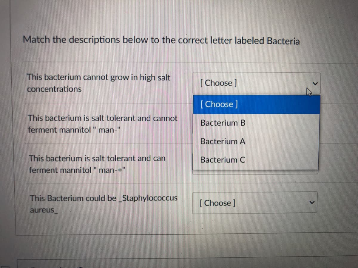 Match the descriptions below to the correct letter labeled Bacteria
This bacterium cannot grow in high salt
concentrations
[ Choose ]
[Choose]
This bacterium is salt tolerant and cannot
ferment mannitol " man-"
Bacterium B
Bacterium A
This bacterium is salt tolerant and can
ferment mannitol " man-+"
Bacterium C
This Bacterium could be _Staphylococcus
[Choose ]
aureus_
