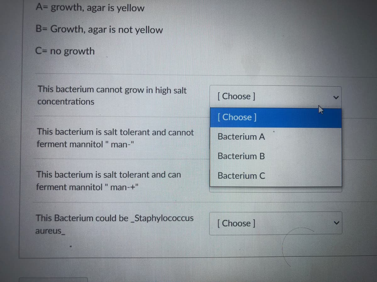 A= growth, agar is yellow
B= Growth, agar is not yellow
C= no growth
This bacterium cannot grow in high salt
concentrations
[Choose ]
[Choose]
This bacterium is salt tolerant and cannot
Bacterium A
ferment mannitol " man-"
%3D
Bacterium B
This bacterium is salt tolerant and can
ferment mannitol " man-+"
Bacterium C
This Bacterium could be Staphylococcus
[Choose ]
aureus_

