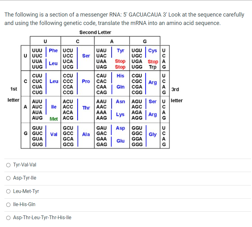 The following is a section of a messenger RNA: 5' GACUACAUA 3' Look at the sequence carefully
and using the following genetic code, translate the MRNA into an amino acid sequence.
Second Letter
U
A
G
Phe uCu
UC
| Tyr UGU
Cys u
UUU
U UUC
UUA
UUG
UAU
UAC
UAA
UAG
UGC
Stop UGA Stop A
Stop UGG Trp G
Ser
UCA
UCG
Leu
CAU
CAC
САА
CAG
CU
CU
His
CGU
U
c Cuc
CUA
CUG
Leu cc
CCA
CG
CGC Arg
CGA
CG
Pro
Gin
A
3rd
G
1st
letter
AUU
Ser u letter
ACU
lle ACC
ACA
AAU
Asn
AGU
Thr AAC
AAA
A AUC
AGC
AUA
AGA
| Lys
A
Arg
G
AUG
Met ACG
AAG
AGG
Asp
GUU
G GUC
GUA
GCU
GAU
GAC
GAA
GGU
GGC Gly
Val |GCC
GCA
GCG
Ala
GGA
GGG
A
Glu
GUG
GAG
G
O Tyr-Val-Val
O Asp-Tyr-lle
O Leu-Met-Tyr
O lle-His-Gln
O Asp-Thr-Leu-Tyr-Thr-His-lle
星
