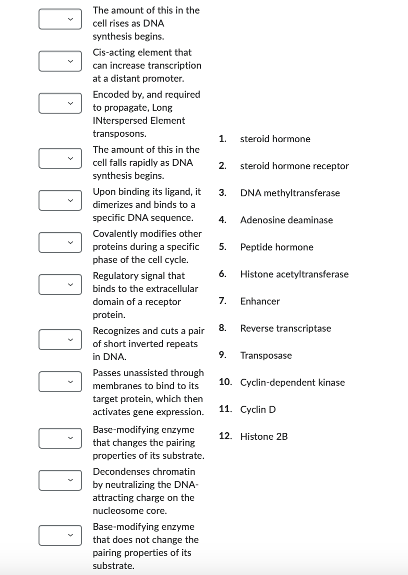 The amount of this in the
cell rises as DNA
synthesis begins.
Cis-acting element that
can increase transcription
at a distant promoter.
Encoded by, and required
to propagate, Long
INterspersed Element
transposons.
1.
steroid hormone
The amount of this in the
cell falls rapidly as DNA
2.
steroid hormone receptor
synthesis begins.
Upon binding its ligand, it
3.
DNA methyltransferase
dimerizes and binds to a
specific DNA sequence.
4.
Adenosine deaminase
Covalently modifies other
proteins during a specific
5.
Peptide hormone
phase of the cell cycle.
Regulatory signal that
6.
Histone acetyltransferase
binds to the extracellular
domain of a receptor
7.
Enhancer
protein.
8.
Recognizes and cuts a pair
Reverse transcriptase
of short inverted repeats
in DNA.
9.
Transposase
Passes unassisted through
membranes to bind to its
target protein, which then
activates gene expression.
Base-modifying enzyme
that changes the pairing
properties of its substrate.
Decondenses chromatin
by neutralizing the DNA-
attracting charge on the
nucleosome core.
Base-modifying enzyme
that does not change the
pairing properties of its
substrate.
10. Cyclin-dependent kinase
11. Cyclin D
12. Histone 2B