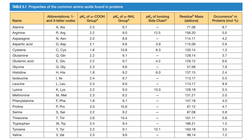 TABLE 5.1 Properties of the common amino acids found in proteins
pka of a-COOH
Group
pKa of a-NH
Group
pKa of lonizing
Side Chain
Residue Mass
(daltons)
Occurrence in
Proteins (mol %)
Abbreviations: 1-
Name
and 3-letter codes
Alanine
А, Ala
2.3
9.7
71.08
8.7
Arginine
R, Arg
2.2
9.0
12.5
156.20
5.0
Asparagine
N, Asn
2.0
8.8
114.11
4.2
Aspartic acid
D, Asp
2.1
9.8
3.9
115.09
5.9
C, Cys
Q, Gln
E, Glu
Cysteine
1.8
10.8
8.3
103.14
1.3
Glutamine
2.2
9.1
128.14
3.7
Glutamic acid
2.2
9.7
4.2
129.12
6.6
Glycine
G, Gly
2.3
9.6
57.06
7.9
Н, His
I, lle
Histidine
1.8
9.2
6.0
137.15
2.4
Isoleucine
2.4
9.7
113.17
5.5
Leucine
L, Leu
2.4
9.6
113.17
8.9
K, Lys
М, Met
Lysine
2.2
9.0
10.0
128.18
5.5
Methionine
2.3
9.2
131.21
2.0
Phenylalanine
F, Phe
1.8
9.1
147.18
4.0
Proline
P, Pro
2.0
10.6
97.12
4.7
Serine
S, Ser
2.2
9.2
87.08
5.8
Threonine
T, Thr
2.6
10.4
101.11
5.6
Tryptophan
W, Trp
2.4
9.4
186.21
1.5
Tyrosine
Y, Tyr
2.2
9.1
10.1
163.18
3.5
Valine
V, Val
2.3
9.6
99.14
7.2
