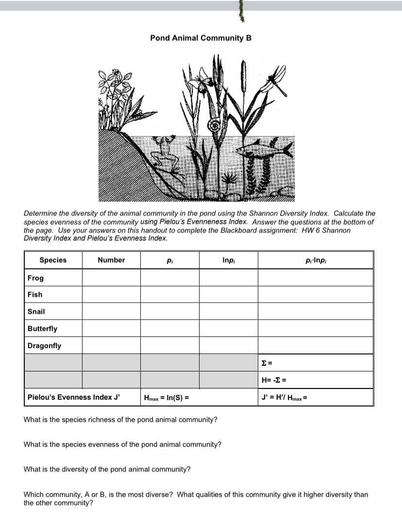 Pond Animal Community B
Determine the diversity of the animal community in the pond using the Shannon Diversity Index. Calculate the
species evenness of the community using Pielou's Evenneness Index. Answer the questions at the bottom of
the page. Use your answers on this handout to complete the Blackboard assignment: HW 6 Shannon
Diversity Index and Pielou's Evenness Index.
Species
Number
Pi
Inp
prInp,
Frog
Fish
Snail
Butterfly
Dragonfly
H= -E =
Pielou's Evenness Index J'
Hmax = In(S) =
J' = H'/ Hmax=
What is the species richness of the pond animal community?
What is the species evenness of the pond animal community?
What is the diversity of the pond animal community?
Which community, A or B, is the most diverse? What qualities of this community give it higher diversity than
the other community?
