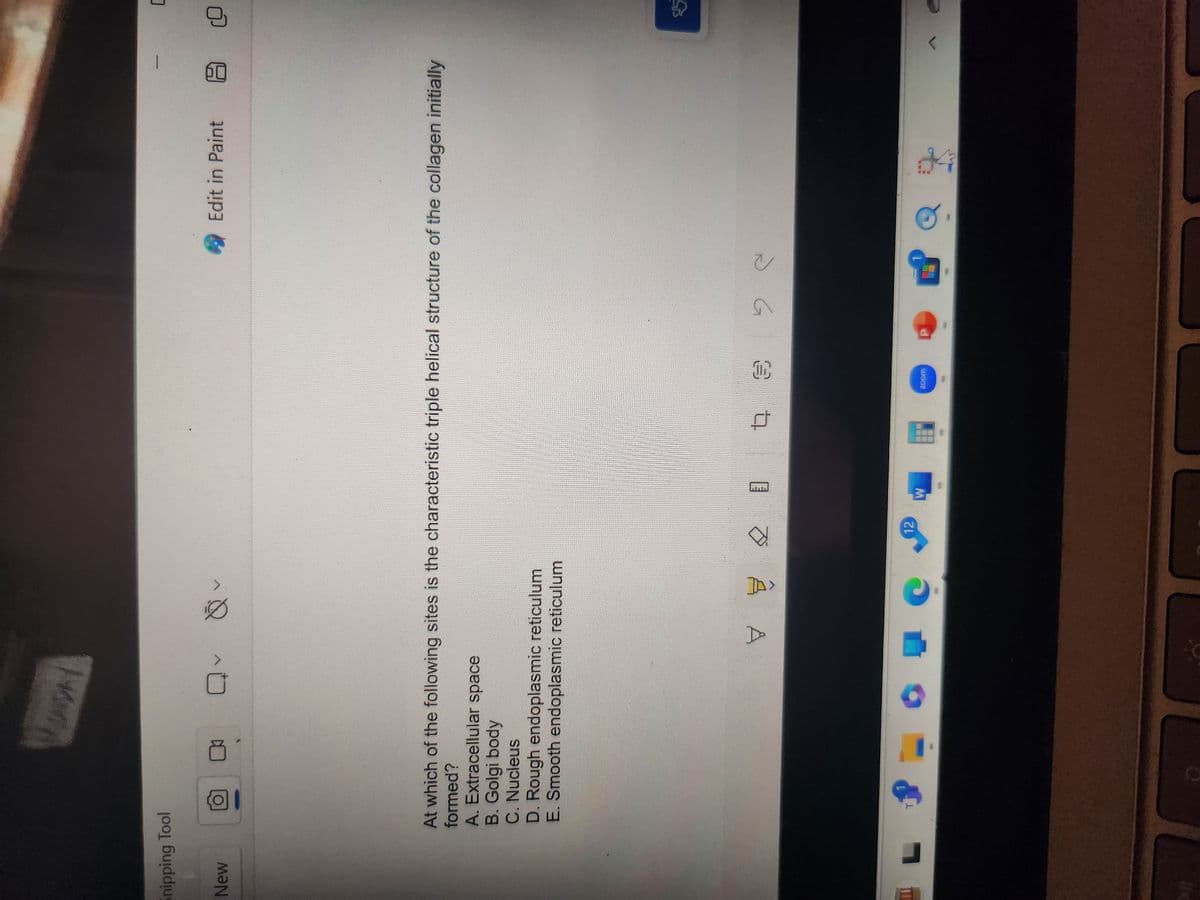 Snipping Tool
New
L
ADAL
Q Q- Q
At which of the following sites is the characteristic triple helical structure of the collagen initially
formed?
A. Extracellular space
B. Golgi body
C. Nucleus
T
D. Rough endoplasmic reticulum
E. Smooth endoplasmic reticulum
부분
C
21 4 3
12
W
Beat
zoom
3 C
Edit in Paint
EP
C