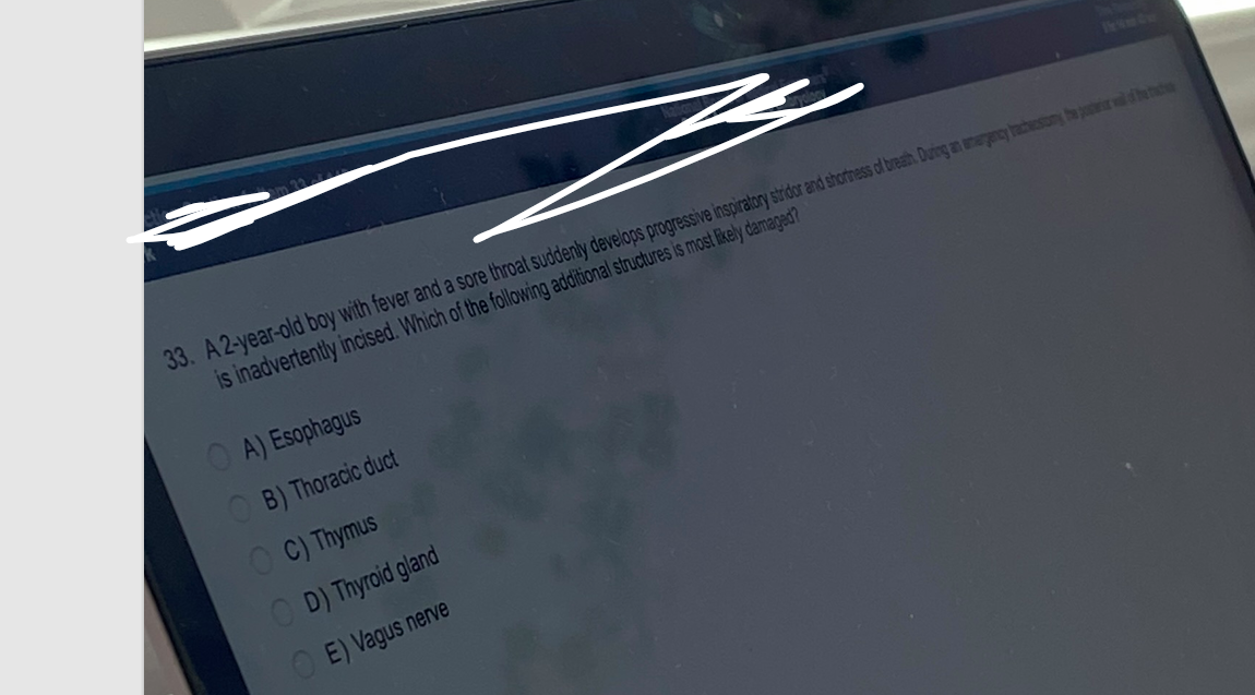 #
33. A 2-year-old boy with fever and a sore throat suddenly develops progressive inspiratory stridor and shortness of breath. During an emergency tracheostomy of the c
is inadvertently incised. Which of the following additional structures is most likely damaged?
A) Esophagus
OB) Thoracic duct
OC) Thymus
OD) Thyroid gland
OE) Vagus nerve