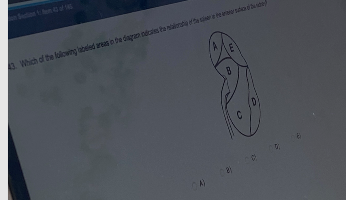 on Section 1: hem 43 of 145
E
43. Which of the following labeled areas in the diagram indicates the relationship of the spleen to the antenor surface of the kidney?
OA)
B
(08)
C
OC)
(D)
CE)