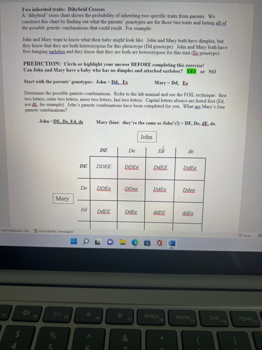 Two inherited traits: Dihybrid Crosses
A "dihybrid" cross chart shows the probability of inheriting two specific traits from parents. We
construct this chart by finding out what the parents' genotypes are for those two traits and listing all of
the possible genetic combinations that could result. For example:
F3
John and Mary want to know what their baby might look like. John and Mary both have dimples, but
they know that they are both heterozygous for this phenotype (Dd genotype). John and Mary both have
free-hanging earlobes and they know that they are both are heterozygous for this trait (Ee genotype).
PREDICTION: Circle or highlight your answer BEFORE completing this exercise!
Can John and Mary have a baby who has no dimples and attached earlobes? YES or NO
Start with the parents' genotypes: John Dd, Ee
Mary Dd, Ee
Determine the possible gamete combinations. Refer to the lab manual and use the FOIL technique: first
two letters, outer two letters, inner two letters, last two letters. Capital letters always are listed first (Ed,
not dE, for example). John's gamete combinations have been completed for you. What are Mary's four
gamete combinations?
John DE, De, Ed, de
Text Predictions: On
F4
Mary
Accessibility: Investigate
5
Ā
%
F5
DE
O
Mary (hint: they're the same as John's!)=DE, De, de, de.
De DDEe
*
DE
Ed DdEE
6
DDEE
F6
De
DDEe
DDee
DdEe
O
I'
F7
&
John
El
DdEE
DdEe
ddEE
PrtScn
F8
de
DdEe
Ddee
ddEe
Home
F9
End
F10
Focus
20
PgUp F11
