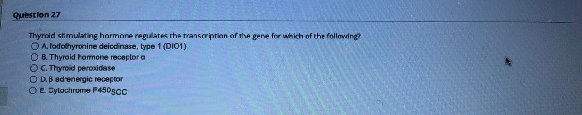 Question 27
Thyroid stimulating hormone regulates the transcription of the gene for which of the following?
A. lodothyronine deiodinase, type 1 (DIO1)
B. Thyroid hormone receptor a
C. Thyroid peroxidase
OD. B adrenergic receptor
O E. Cytochrome P450SCC