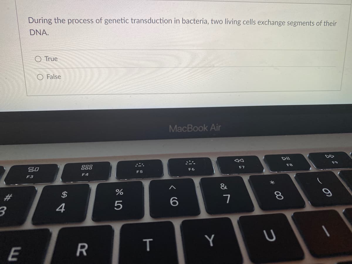 During the process of genetic transduction in bacteria, two living cells exchange segments of their
DNA.
True
O False
MacBook Air
DII
DD
吕0
000
F9
F6
F7
F5
F3
F4
*
&
23
$
8.
4
5
Y
E
R
