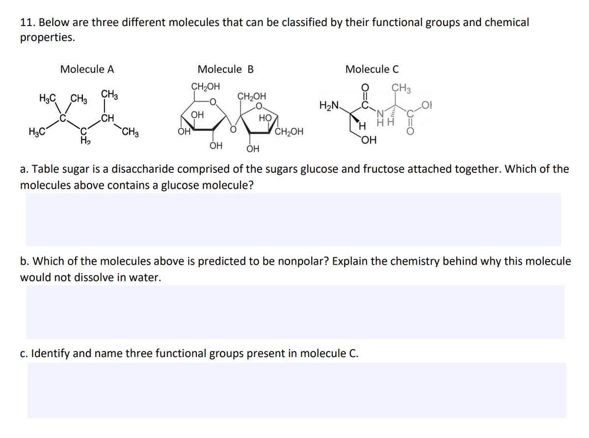 11. Below are three different molecules that can be classified by their functional groups and chemical
properties.
Molecule A
Molecule B
CH₂OH
CH3
X B
H₂C CH3
OH
CH
H₂C
OH
OH
C
H₂
CH3
CH₂OH
HO
CH₂OH
H₂N
Molecule C
H
OH
HH
ОН
a. Table sugar is a disaccharide comprised of the sugars glucose and fructose attached together. Which of the
molecules above contains a glucose molecule?
c. Identify and name three functional groups present in molecule C.
b. Which of the molecules above is predicted to be nonpolar? Explain the chemistry behind why this molecule
would not dissolve in water.