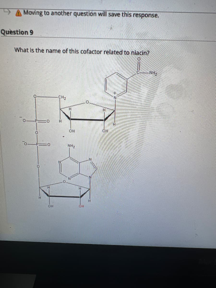 Moving to another question will save this response.
Question 9
What is the name of this cofactor related to niacin?
0
OH
CH₂
H
OH
NH₂
H
OH
OH
NH₂