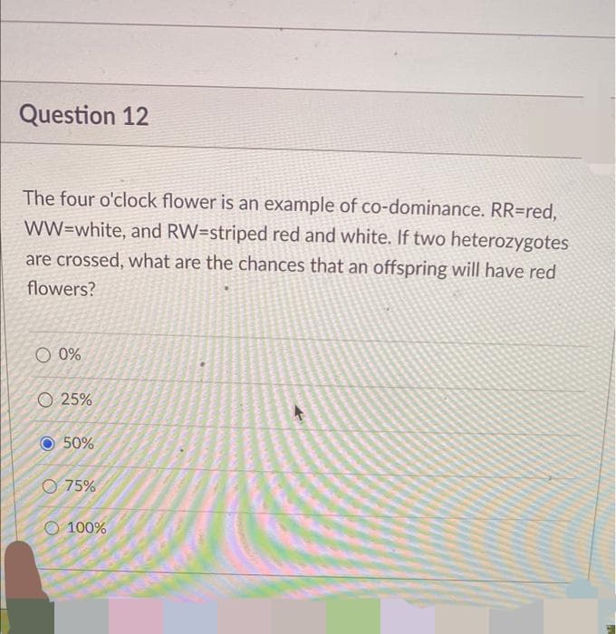 Question 12
The four o'clock flower is an example of co-dominance. RR=red,
WW-white, and RW-striped red and white. If two heterozygotes
are crossed, what are the chances that an offspring will have red
flowers?
O 0%
O 25%
50%
75%
O 100%