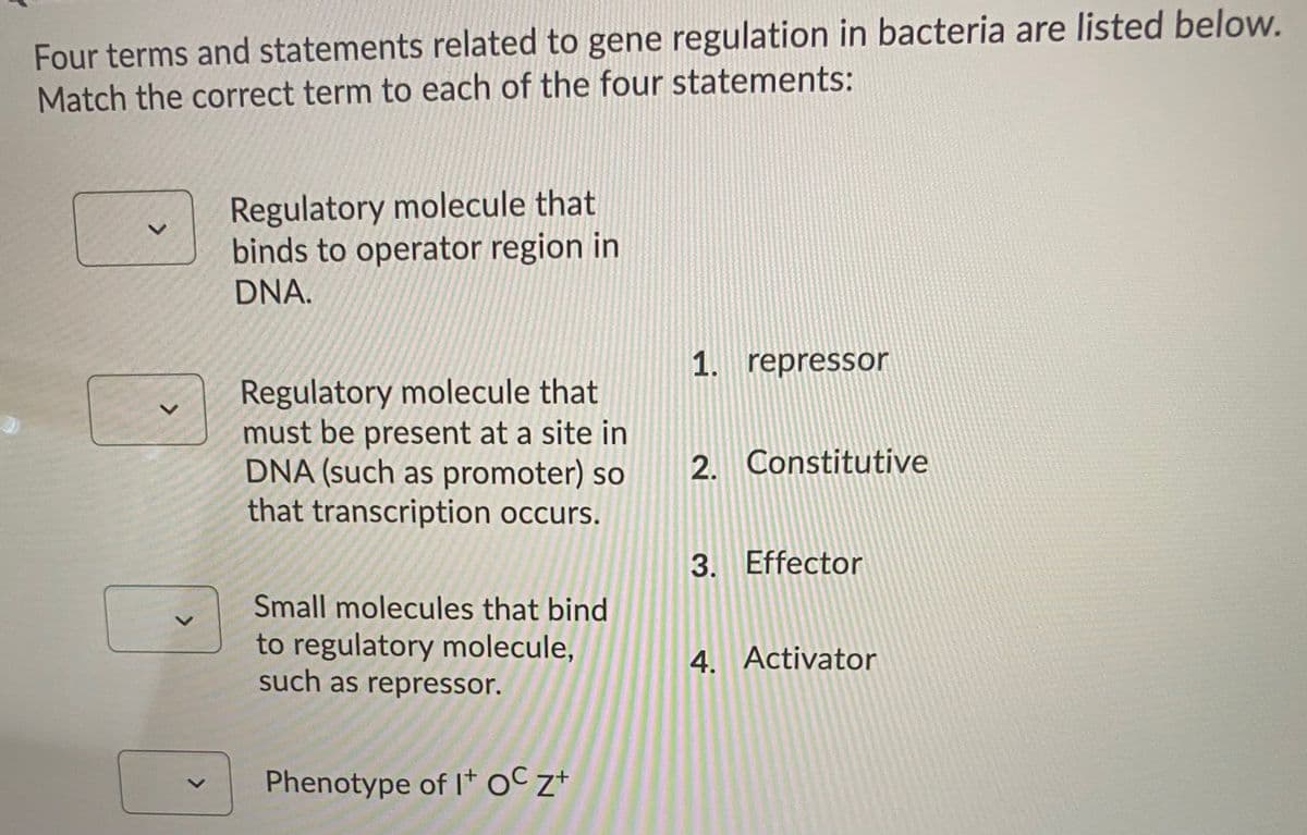 Four terms and statements related to gene regulation in bacteria are listed below.
Match the correct term to each of the four statements:
Regulatory molecule that
binds to operator region in
DNA.
1. repressor
Regulatory molecule that
must be present at a site in
DNA (such as promoter) so
that transcription occurs.
2. Constitutive
3. Effector
Small molecules that bind
to regulatory molecule,
such as repressor.
4. Activator
Phenotype of I+ oCz*
<>
