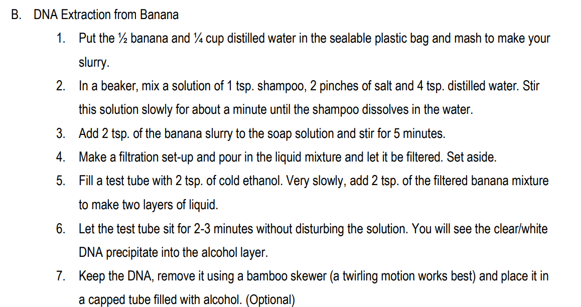 B. DNA Extraction from Banana
1. Put the ½ banana and ¼ cup distilled water in the sealable plastic bag and mash to make your
slurry.
2. In a beaker, mix a solution of 1 tsp. shampoo, 2 pinches of salt and 4 tsp. distilled water. Stir
this solution slowly for about a minute until the shampoo dissolves in the water.
Add 2 tsp. of the banana slurry to the soap solution and stir for 5 minutes.
Make a filtration set-up and pour in the liquid mixture and let it be filtered. Set aside.
Fill a test tube with 2 tsp. of cold ethanol. Very slowly, add 2 tsp. of the filtered banana mixture
to make two layers of liquid.
6. Let the test tube sit for 2-3 minutes without disturbing the solution. You will see the clear/white
DNA precipitate into the alcohol layer.
7. Keep the DNA, remove it using a bamboo skewer (a twirling motion works best) and place it in
a capped tube filled with alcohol. (Optional)
3.
4.
5.