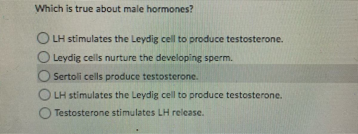 Which is true about male hormones?
OLH stimulates the Leydig cell to produce testosterone.
O Leydig cells nurture the developing sperm.
Sertoll cels produce testosterone.
OLH stimulates the Leydig cel to produce testosterone.
O Testosterone stimulates LH release,
