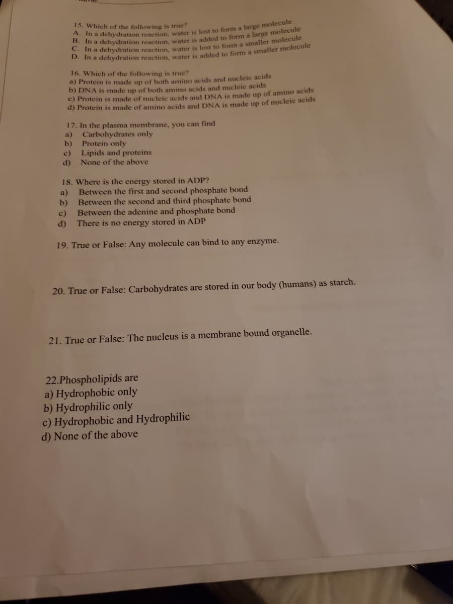 15. Which of the following is true?
a
16. Which of the following is true?
a) Protein is made up of both amino acids and nucleic acids
b) DNA is made up of both amino acids and nucleic acids
c) Protein is made of nucleie acids and DNA is made up of amino acids
d) Protein is made of amino acids and DNA is made up of nucleic acids
17. In the plasma membrane, you can find
Carbohydrates only
b)
a)
Protein only
c) Lipids and proteins
None of the above
d)
18. Where is the energy stored in ADP?
Between the first and second phosphate bond
Between the second and third phosphate bond
a)
b)
c)
Between the adenine and phosphate bond
d)
There is no energy stored in ADP
19. True or False: Any molecule can bind to any enzyme.
20. True or False: Carbohydrates are stored in our body (humans) as starch.
21. True or False: The nucleus is a membrane bound organelle.
22.Phospholipids are
a) Hydrophobic only
b) Hydrophilic only
c) Hydrophobic and Hydrophilic
d) None of the above
