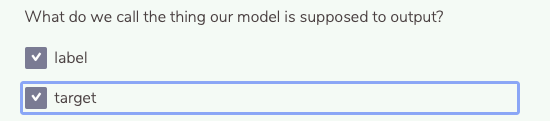 What do we call the thing our model is supposed to output?
label
target
