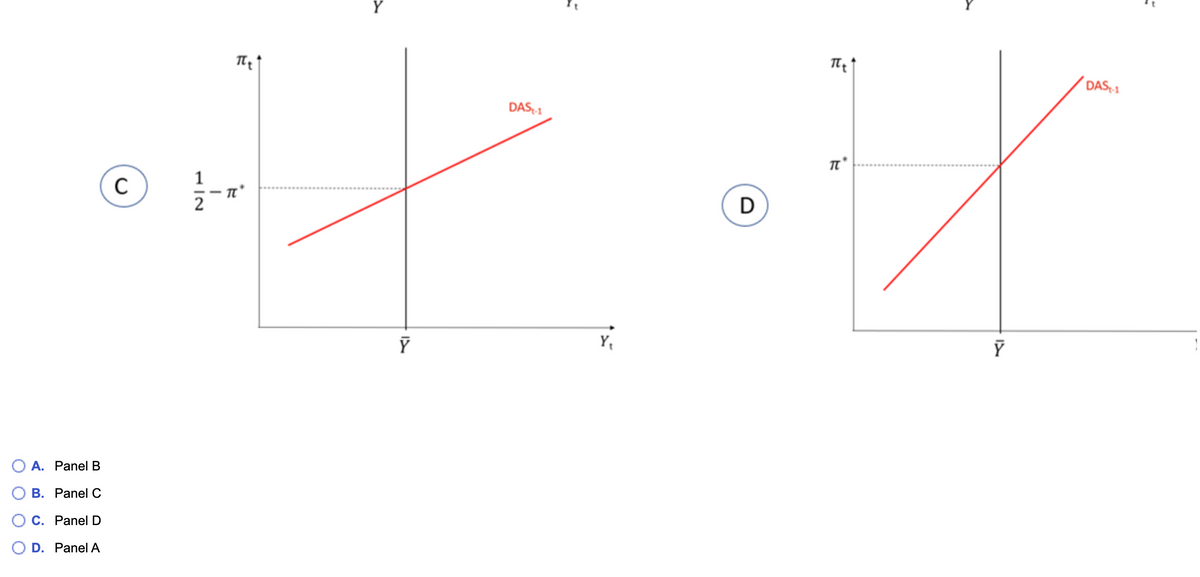 A. Panel B
B. Panel C
C. Panel D
D. Panel A
C
1|2
1
πtt
DAS₁-1
H.K
D
Y₁
Y
TL*
Y
DAS-1
+