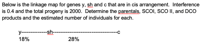 Below is the linkage map for genes y, sh and c that are in cis arrangement. Interference
is 0.4 and the total progeny is 2000. Determine the parentals, SCOI, SCO II, and DCO
products and the estimated number of individuals for each.
y-------------sh--
18%
28%
