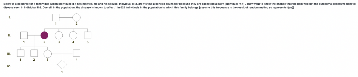 Below is a pedigree for a family into which Individual III-4 has married. He and his spouse, Individual III-3, are visiting a genetic counselor because they are expecting a baby (Individual IV-1). They want to know the chance that the baby will get the autosomal recessive genetic
disease seen in Individual II-2. Overall, in the population, the disease is known to affect 1 in 625 individuals in the population to which this family belongs [assume this frequency is the result of random mating so represents f(aa)]
I.
II.
E
III.
IV.
1
1
2
2 3
1
3
1
4
2
4
5