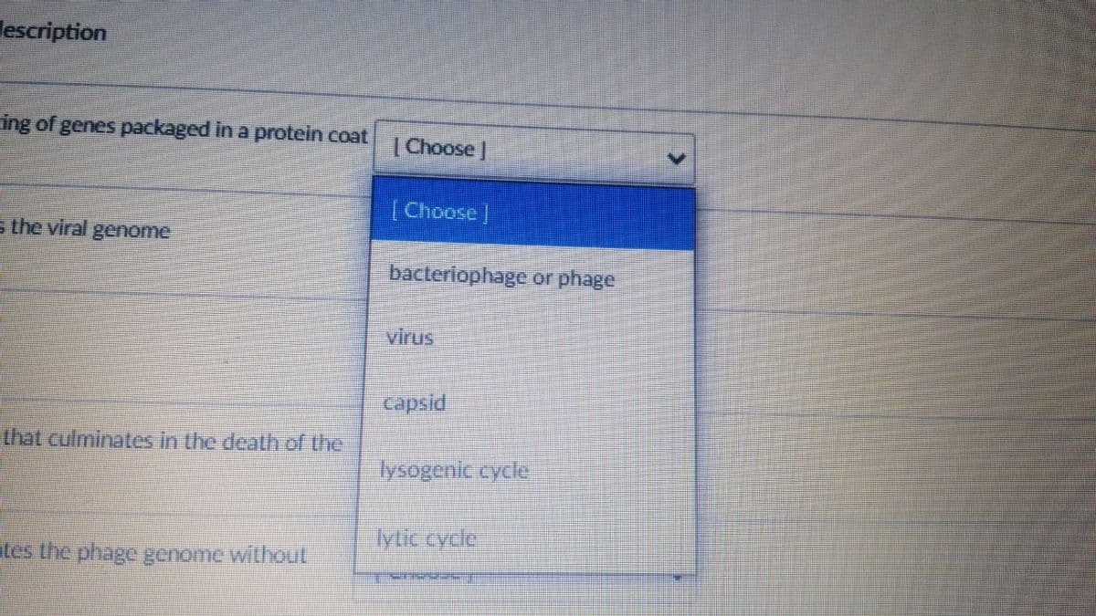 lescription
ing of genes packaged in a protein coat
|Choose|
(Choose
s the viral genome
bacteriophage or phage
virus
capsid
that culminates in the death of the
lysogenic cycle
lytic cycle
tes the phage genome without
