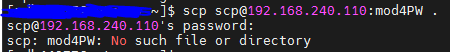 ~]$ scp scp@192.168.240.110:mod4PW .
scp@192.168.240.110's password:
scp: mod4PW: No such file or directory
