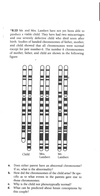 *8.13 Mr. and Mrs. Lambert have not yet been able to
produce a viable child. They have had two miscarriages
and one severely defective child who died soon after
birth. Studies of banded chromosomes of father, mother,
and child showed that all chromosomes were normal
except for pair number-6. The number 6 chromosomes
of mother, father, and child are shown in the following
figure:
Child
Mrs.
Lambert
Mr.
Lambert
a. Does either parent have an abnormal chromosome?
If so, what is the abnormality?
b. How did the chromosomes of the child arise? Be spe-
cific as to what events in the parents gave rise to
those chromosomes.
c. Why is the child not phenotypically normal?
d. What can be predicted about future conceptions by
this couple?
MTD I ||
IID
