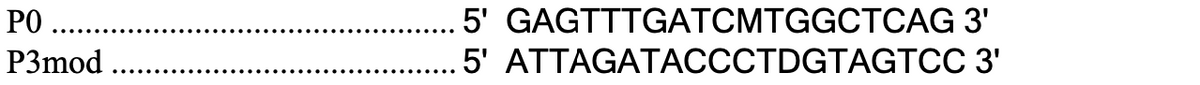 РО
P3mod
5' GAGTTTGATCMTGGCTCAG 3'
.5' ATTAGATACCCTDGTAGTCC 3'